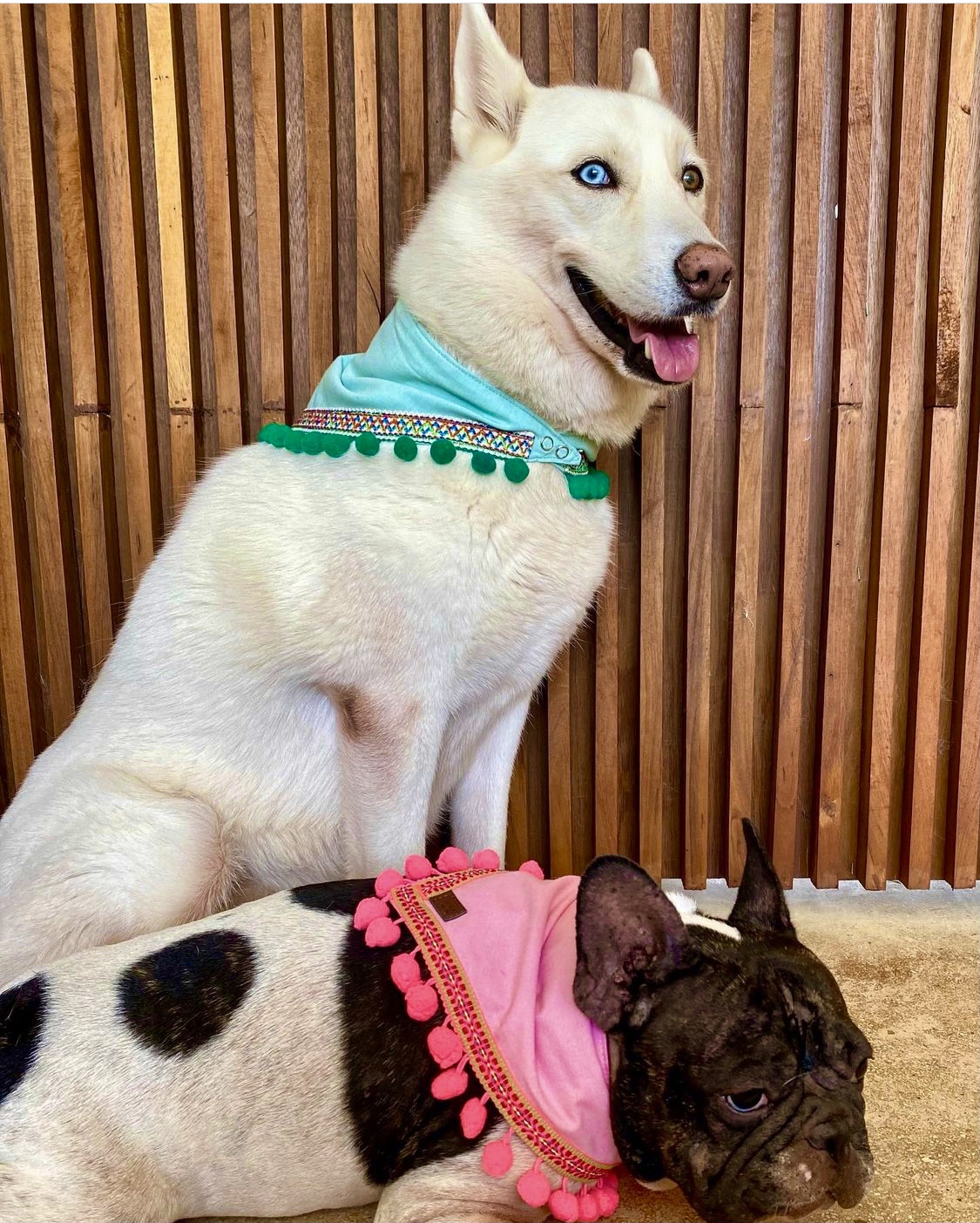 Bandana Pompon - immagine 3