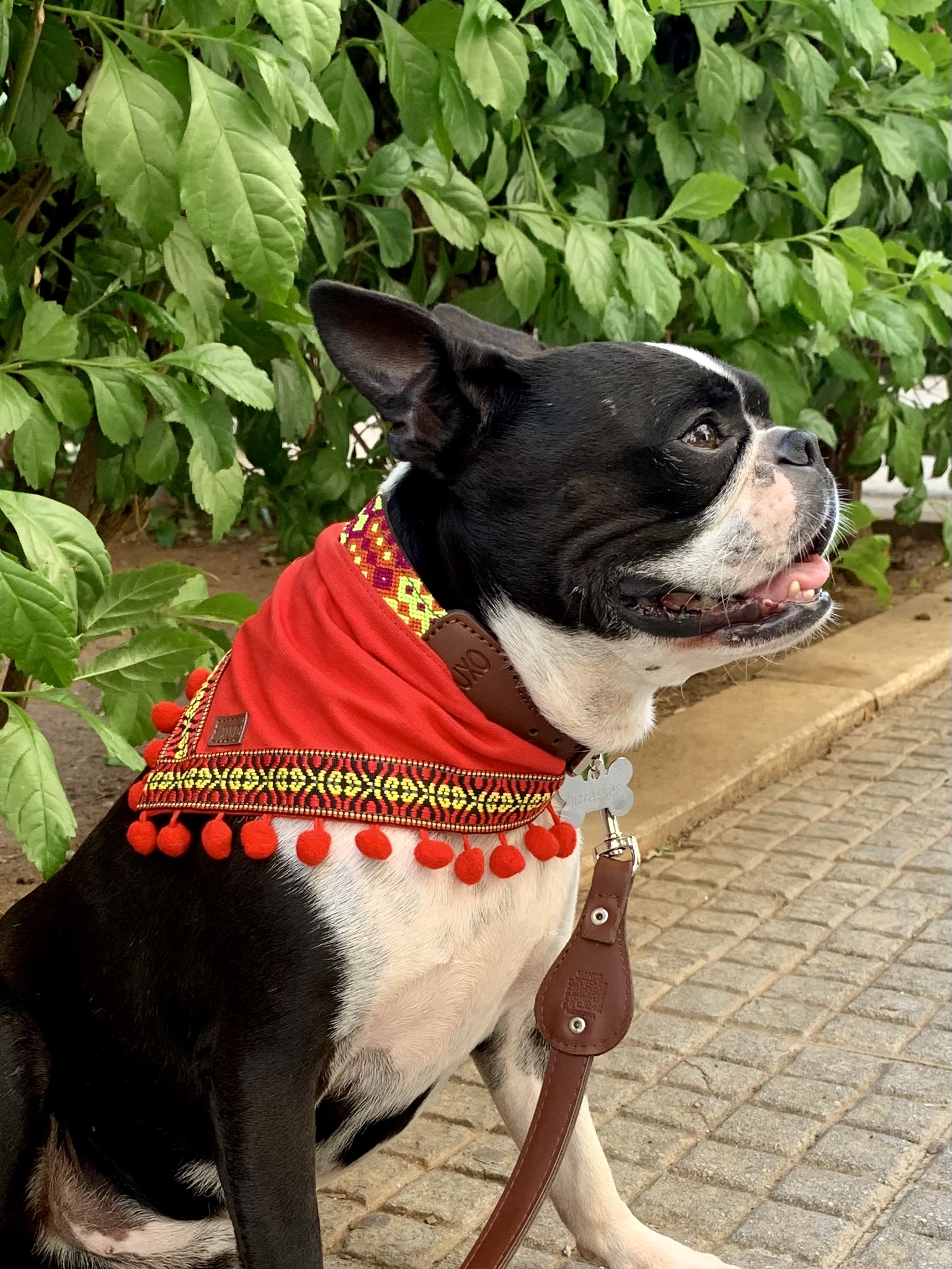 Bandana Pompon - immagine 7