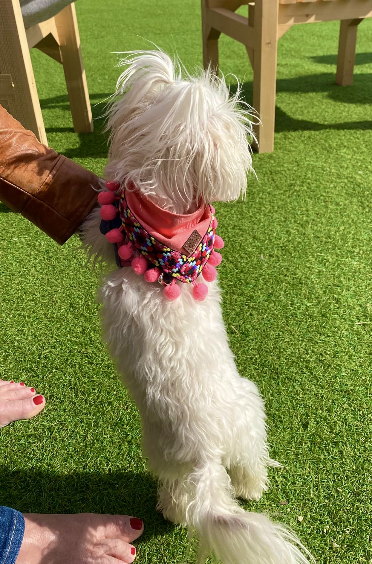 Bandana Pompon - immagine 12